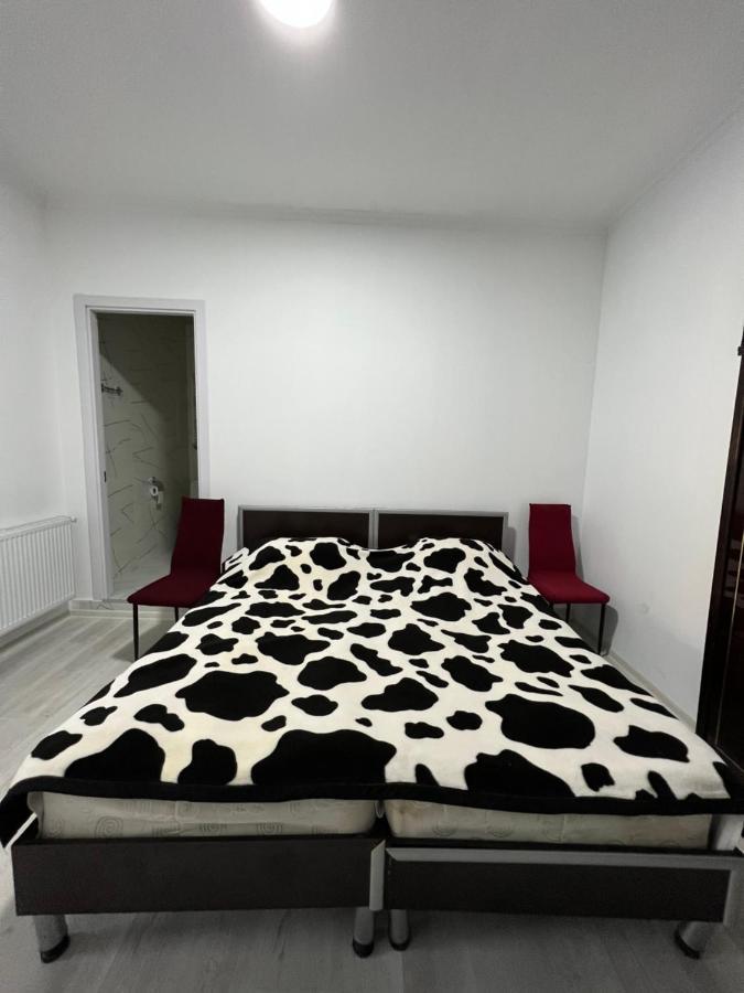 Guest House Lali Sighnaghi Exterior foto
